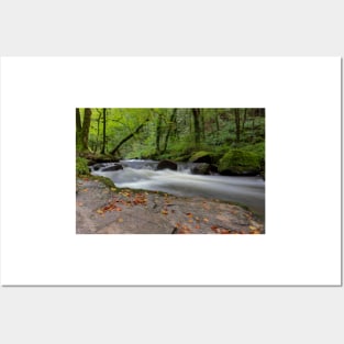 Golitha falls nature reserve Posters and Art